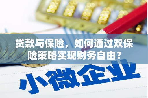 东明贷款与保险，如何通过双保险策略实现财务自由？
