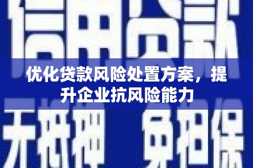 大竹优化贷款风险处置方案，提升企业抗风险能力
