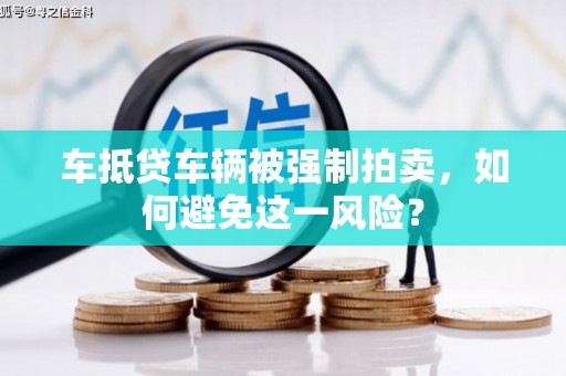 清水河车抵贷车辆被强制拍卖，如何避免这一风险？