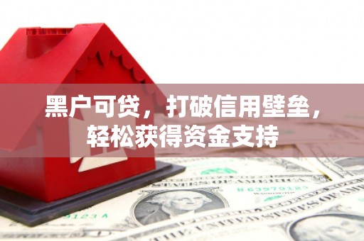 双塔黑户可贷，打破信用壁垒，轻松获得资金支持