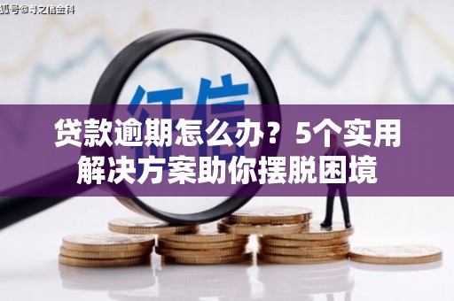大洼贷款逾期怎么办？5个实用解决方案助你摆脱困境