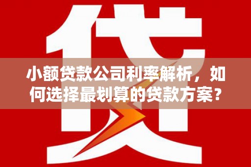 南宫小额贷款公司利率解析，如何选择最划算的贷款方案？