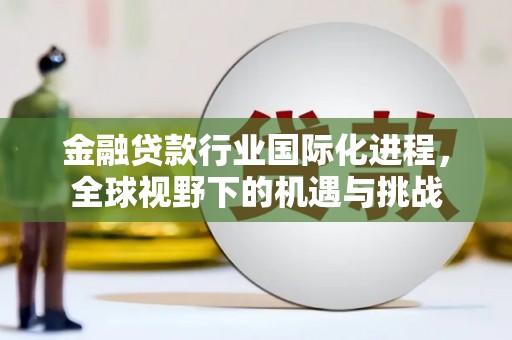 金州新区金融贷款行业国际化进程，全球视野下的机遇与挑战