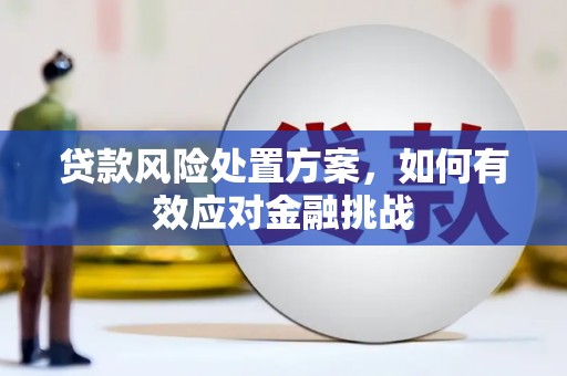 绥棱贷款风险处置方案，如何有效应对金融挑战