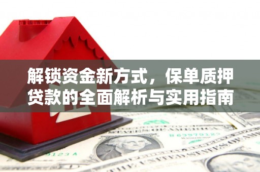 茶山解锁资金新方式，保单质押贷款的全面解析与实用指南