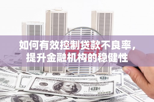 新野如何有效控制贷款不良率，提升金融机构的稳健性