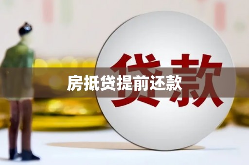 苍溪房抵贷提前还款