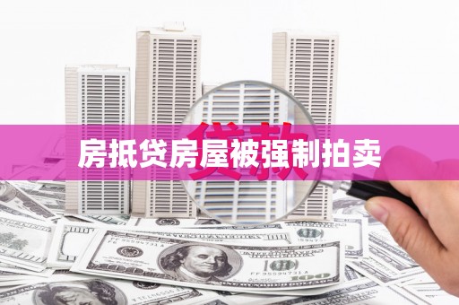 永善房抵贷房屋被强制拍卖