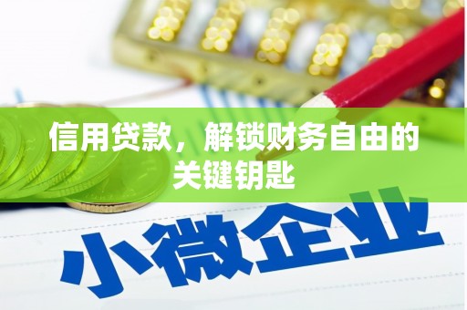 新野信用贷款，解锁财务自由的关键钥匙