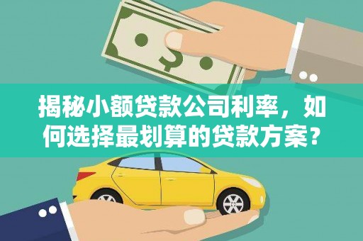 裕民揭秘小额贷款公司利率，如何选择最划算的贷款方案？