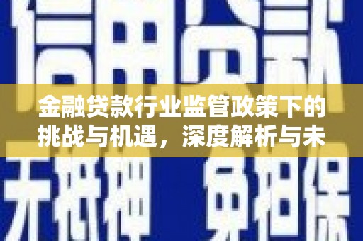 芮城金融贷款行业监管政策下的挑战与机遇，深度解析与未来展望