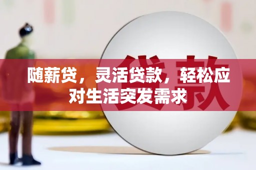 固原随薪贷，灵活贷款，轻松应对生活突发需求