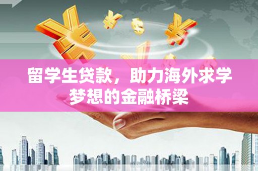 文安留学生贷款，助力海外求学梦想的金融桥梁