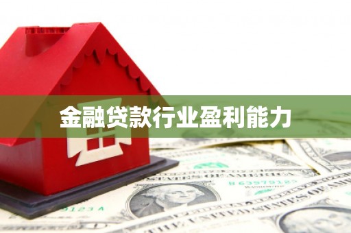 漯河金融贷款行业盈利能力