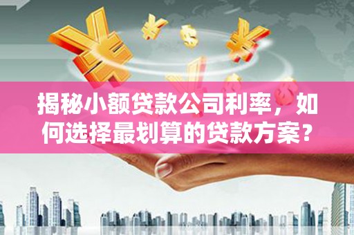 堆龙德庆揭秘小额贷款公司利率，如何选择最划算的贷款方案？