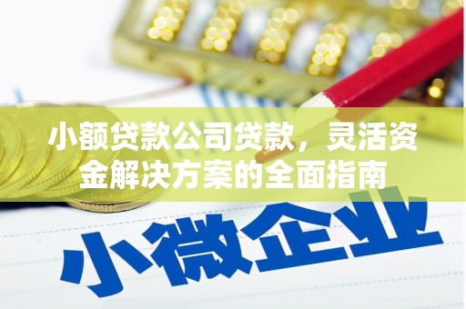 友好小额贷款公司贷款，灵活资金解决方案的全面指南