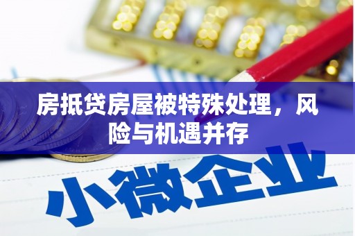 管城房抵贷房屋被特殊处理，风险与机遇并存