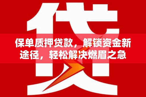 管城保单质押贷款，解锁资金新途径，轻松解决燃眉之急