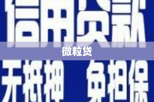 松桃微粒贷