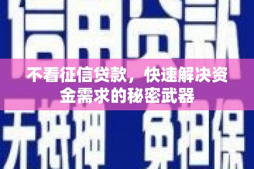 萨尔图不看征信贷款，快速解决资金需求的秘密武器