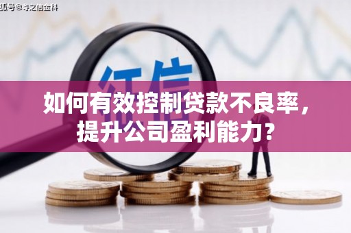 振安如何有效控制贷款不良率，提升公司盈利能力？