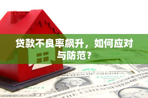 洮北贷款不良率飙升，如何应对与防范？