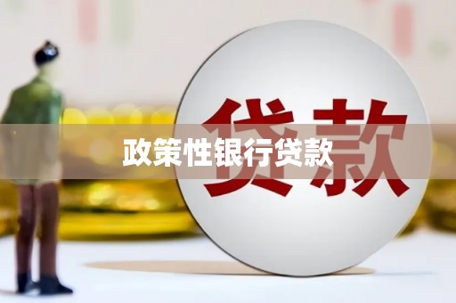 龙安政策性银行贷款