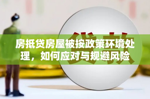 雨花房抵贷房屋被按政策环境处理，如何应对与规避风险