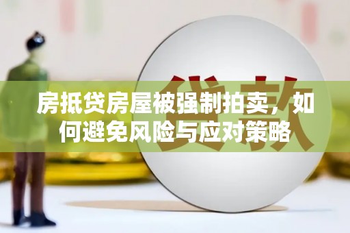 上海房抵贷房屋被强制拍卖，如何避免风险与应对策略