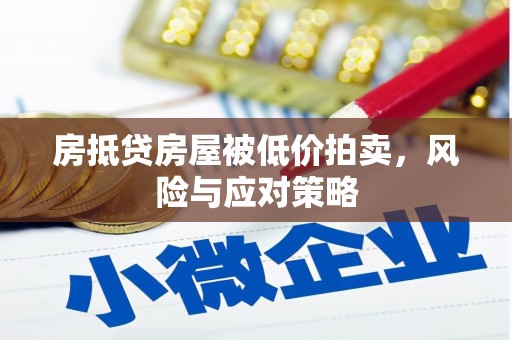 嘉禾房抵贷房屋被低价拍卖，风险与应对策略