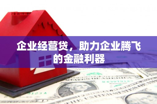郸城企业经营贷，助力企业腾飞的金融利器