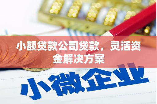 邵东小额贷款公司贷款，灵活资金解决方案