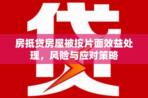 新邵房抵贷房屋被按片面效益处理，风险与应对策略