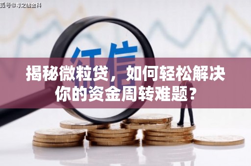 兰西揭秘微粒贷，如何轻松解决你的资金周转难题？
