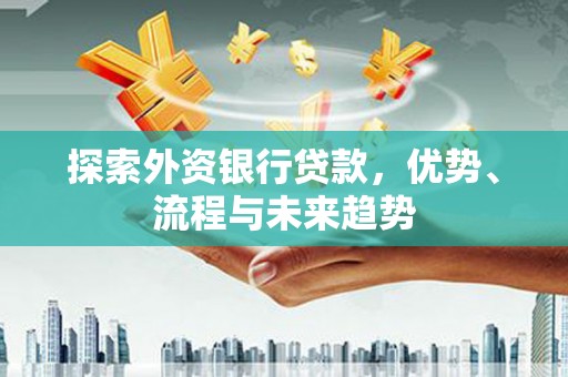 志丹探索外资银行贷款，优势、流程与未来趋势