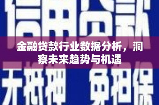 黄南金融贷款行业数据分析，洞察未来趋势与机遇