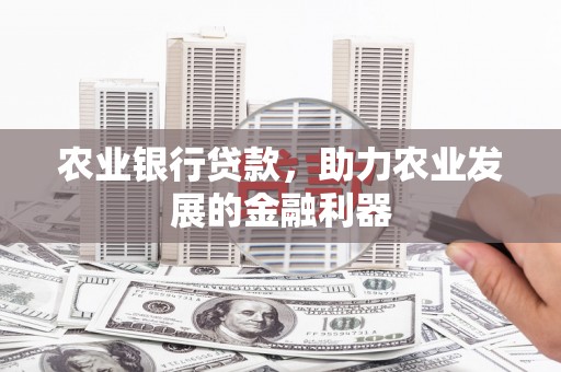 湖口农业银行贷款，助力农业发展的金融利器