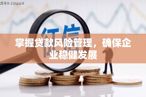 南沙掌握贷款风险管理，确保企业稳健发展