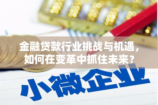 大邑金融贷款行业挑战与机遇，如何在变革中抓住未来？