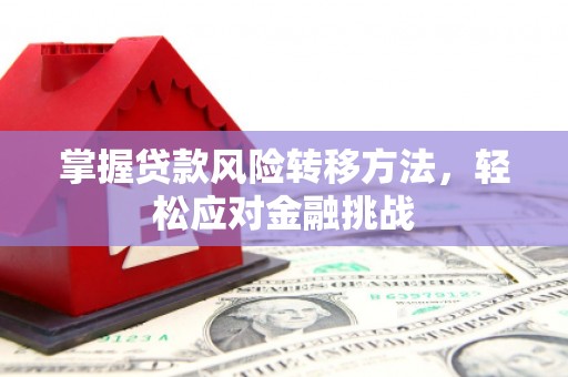  掌握贷款风险转移方法，轻松应对金融挑战