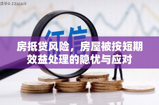 随县房抵贷风险，房屋被按短期效益处理的隐忧与应对
