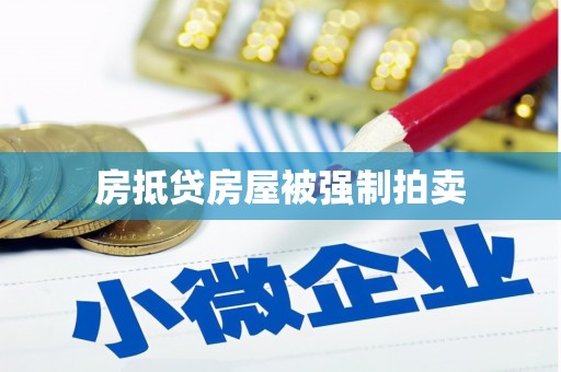 定结房抵贷房屋被强制拍卖