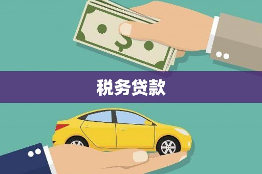 丰南税务贷款