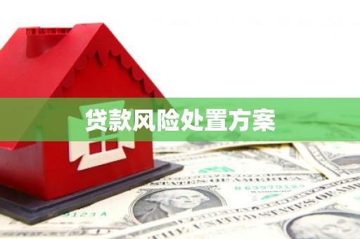 士林贷款风险处置方案