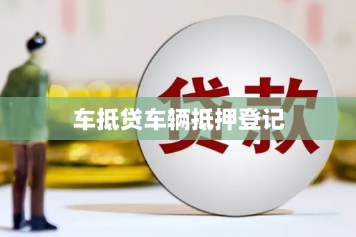 炎陵车抵贷车辆抵押登记