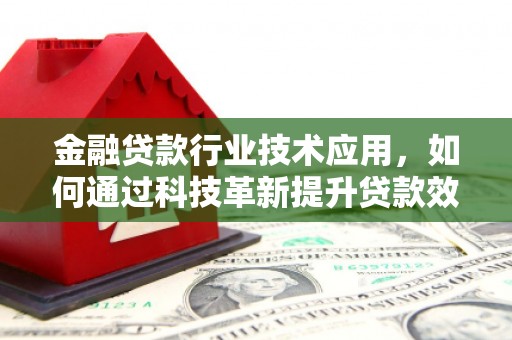 炎陵金融贷款行业技术应用，如何通过科技革新提升贷款效率