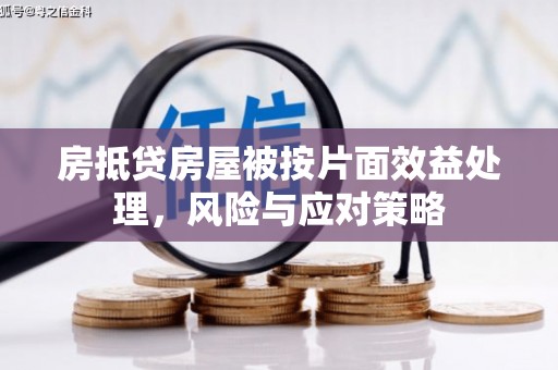 炎陵房抵贷房屋被按片面效益处理，风险与应对策略