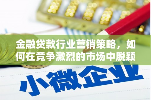 颍泉金融贷款行业营销策略，如何在竞争激烈的市场中脱颖而出