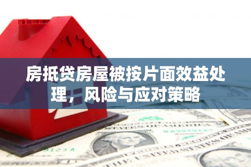 紫云房抵贷房屋被按片面效益处理，风险与应对策略