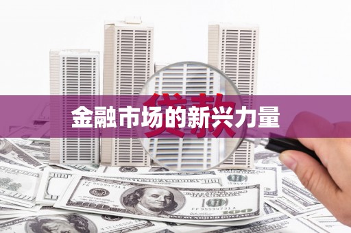 红塔金融市场的新兴力量